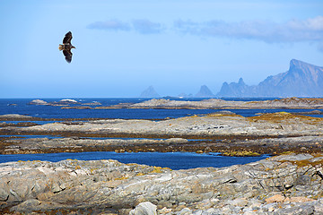 Image showing Norwegian fjord