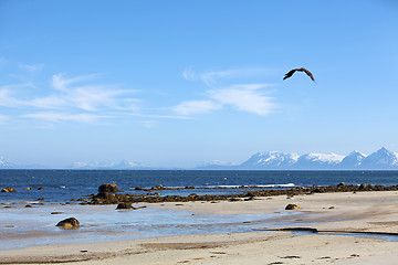 Image showing Norwegian fjord