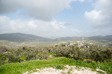 Image showing Sebastia archeology ancient ruins