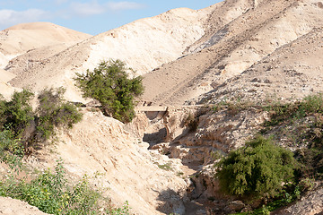 Image showing Hiking in judean desert