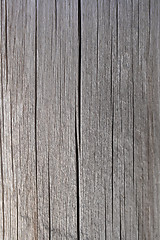 Image showing Silver gray wood texture