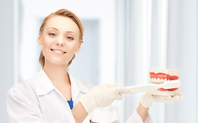 Image showing doctor with toothbrush and jaws