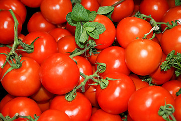 Image showing Baby tomato