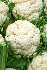 Image showing Cauliflowers