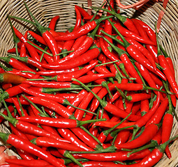 Image showing Chilli peppers