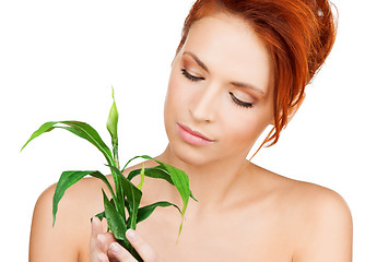 Image showing woman with green sprout