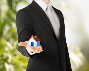 Image showing man hands holding eco house