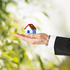 Image showing man hands holding eco house