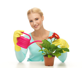Image showing housewife with flower in pot and watering can