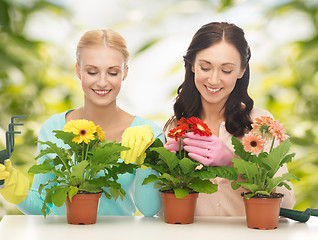 Image showing housewife with flower in pot and gardening set