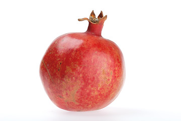 Image showing Fruits, Garnet