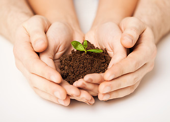 Image showing hands with green sprout and ground