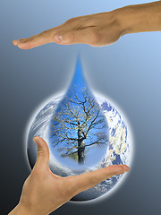 Image showing ecology, hands, responsibility