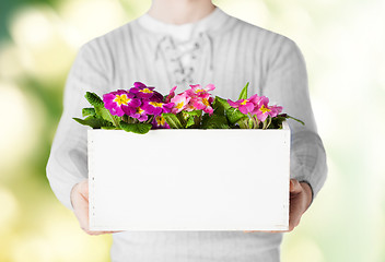 Image showing man holding big pot with flowers