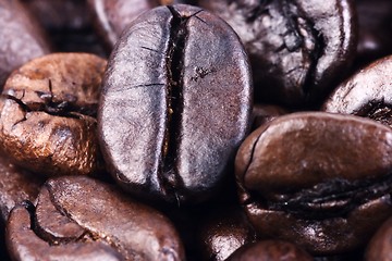 Image showing Coffee Bean Close Up