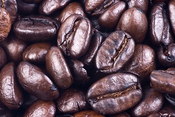 Image showing Coffee Bean Close Up