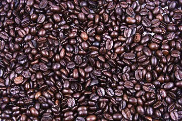 Image showing Coffee Bean Close Up