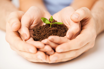 Image showing hands with green sprout and ground