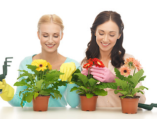 Image showing housewife with flower in pot and gardening set