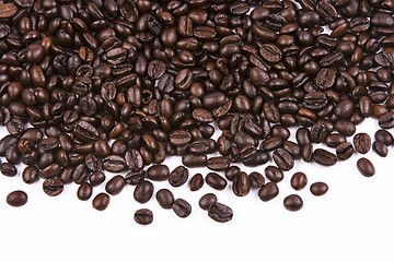 Image showing Coffee Bean Close Up