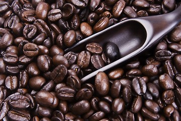 Image showing Scoop Of Coffee Bean