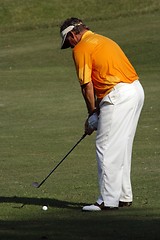 Image showing Golfer