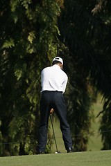 Image showing Golfer