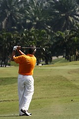 Image showing Golfer