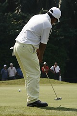 Image showing Golfer