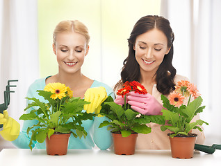 Image showing housewife with flower in pot and gardening set