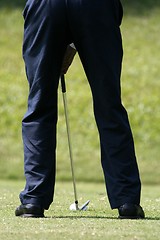 Image showing Golfer