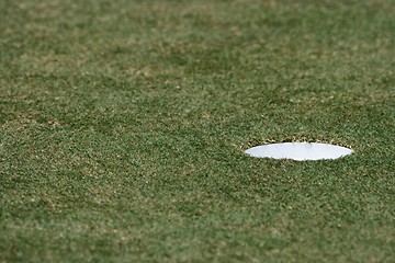 Image showing Hole In The Golf Field