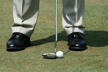 Image showing Golfer