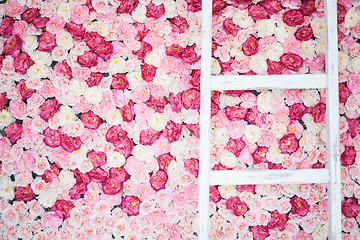 Image showing background full of white and pink roses