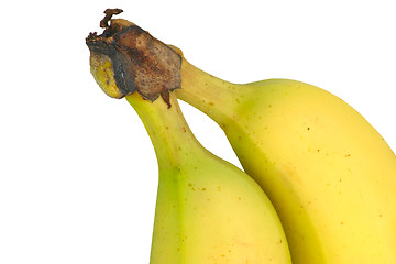 Image showing bananas