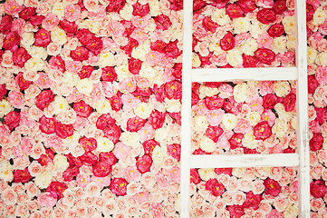 Image showing background full of white and pink roses