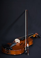 Image showing Violin