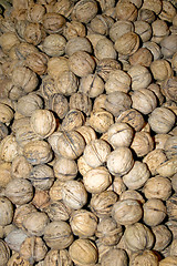 Image showing Walnuts