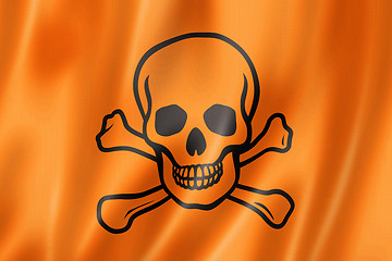 Image showing toxic poison skull flag