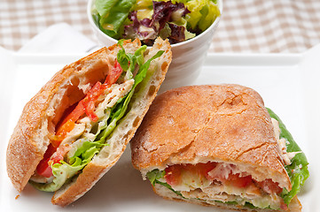 Image showing ciabatta panini sandwich with chicken and tomato