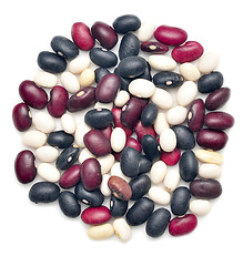 Image showing dry beans