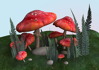 Image showing Toadstools