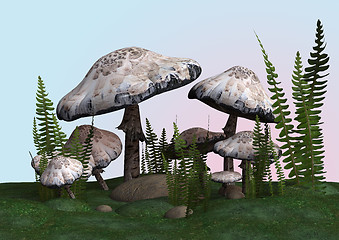 Image showing Death Cap