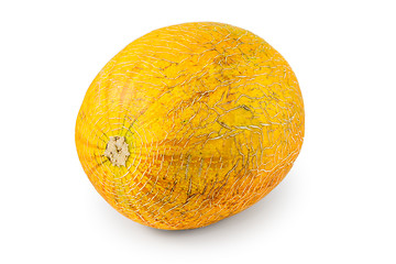 Image showing Melon