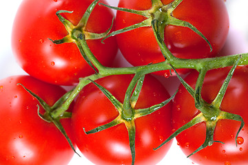 Image showing Bunch of fresh tomatoes with water drops