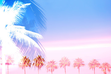 Image showing Tropical Palm Trees Collage