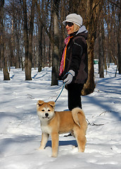 Image showing Akita Inu