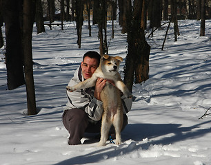 Image showing Akita Inu