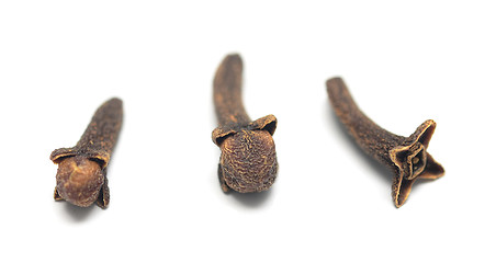 Image showing cloves