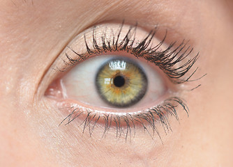 Image showing human eye